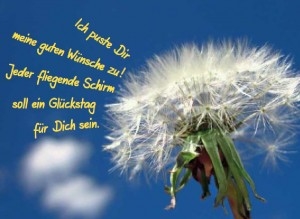 Fairmail_Pusteblume